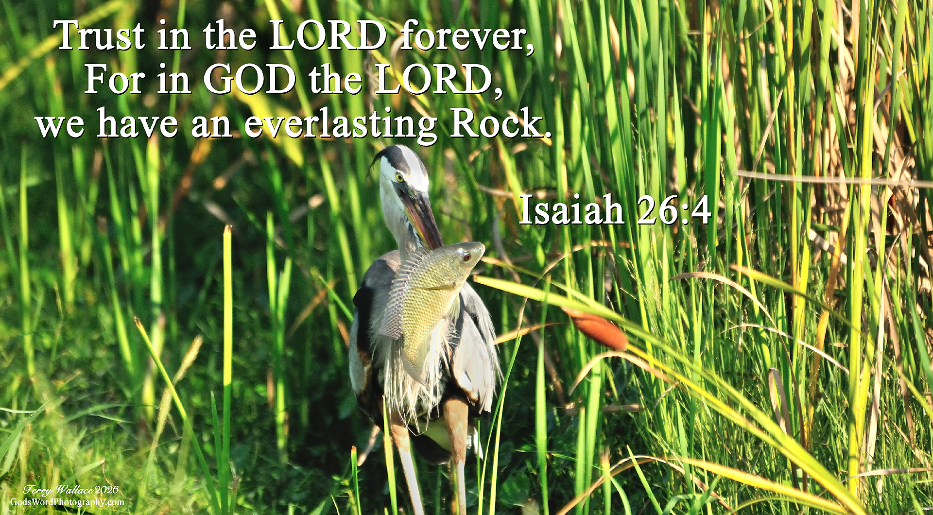 Slide Show isaiah 26 4 s477 small