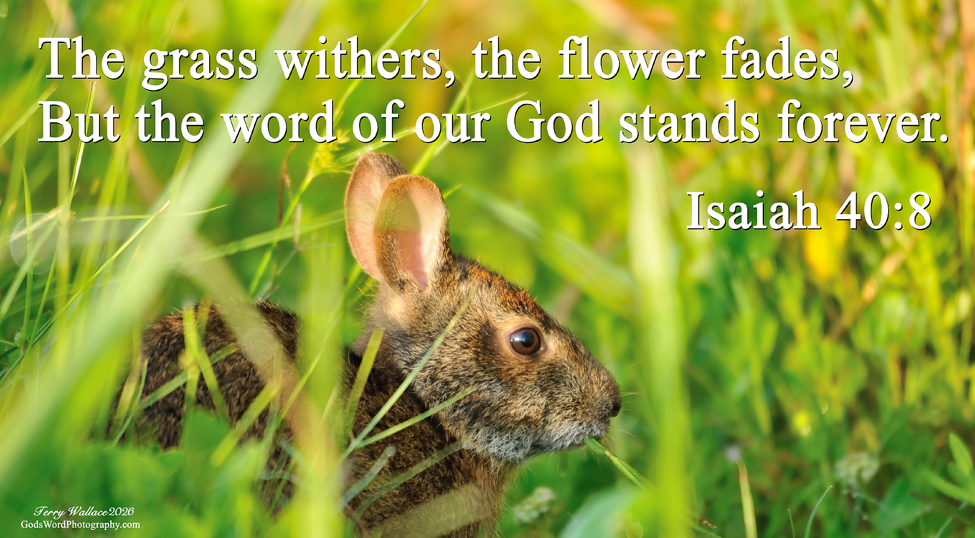 Slide Show isaiah 40 8 s4527 8 small