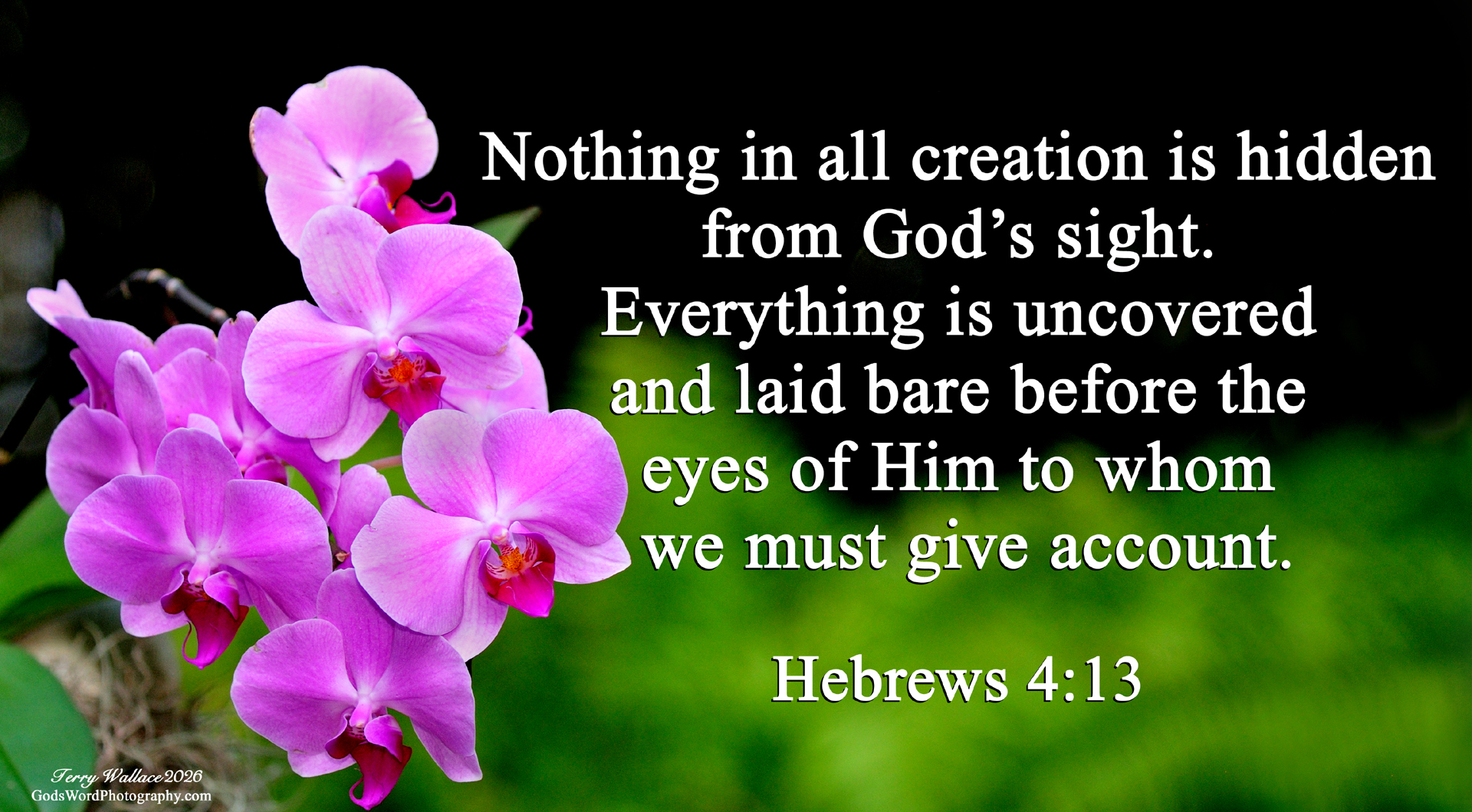 Slide Show hebrews 4 13 small