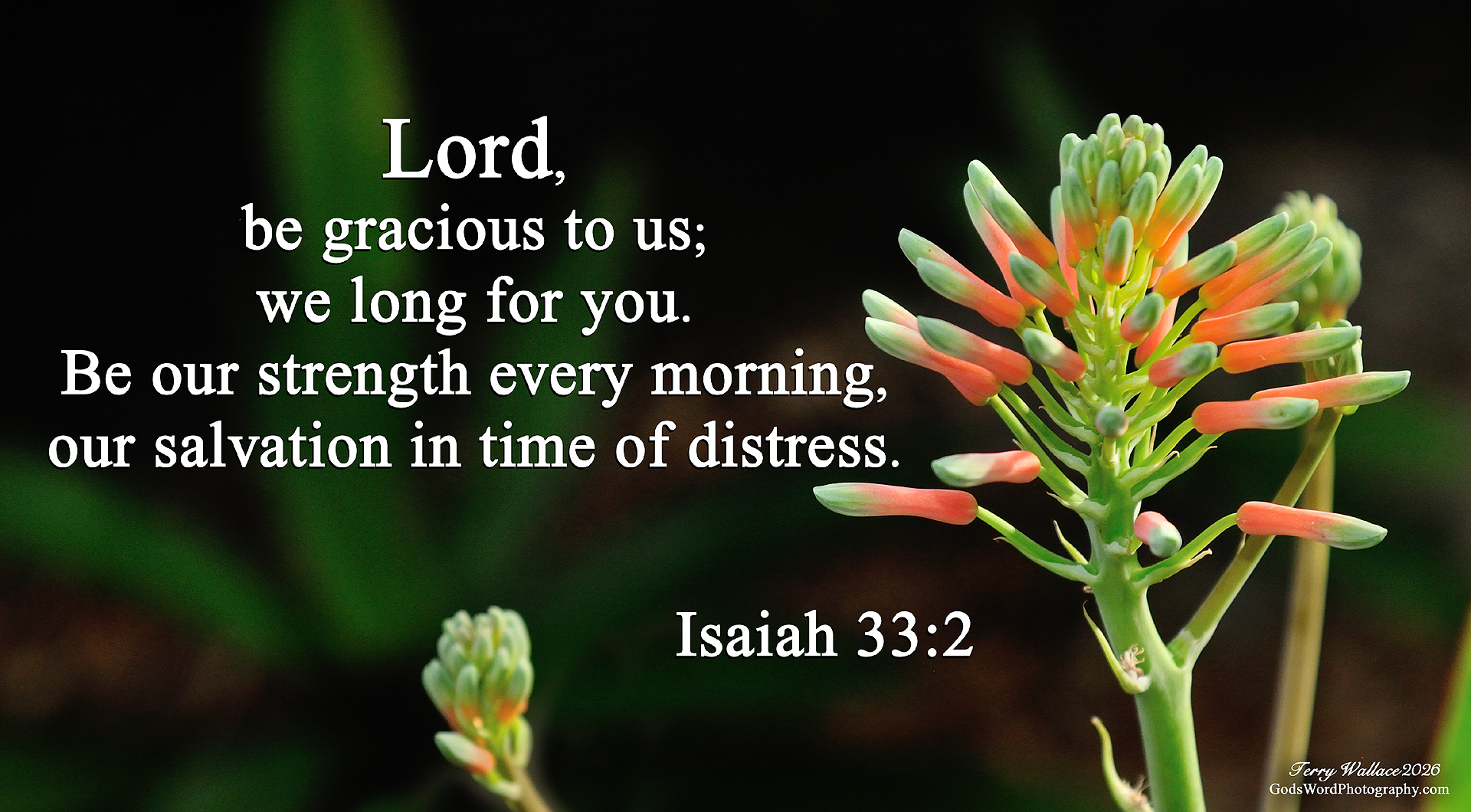 Slide Show isaiah 33 2 j1603 small