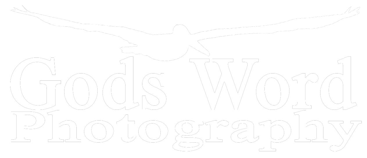 logo white 01