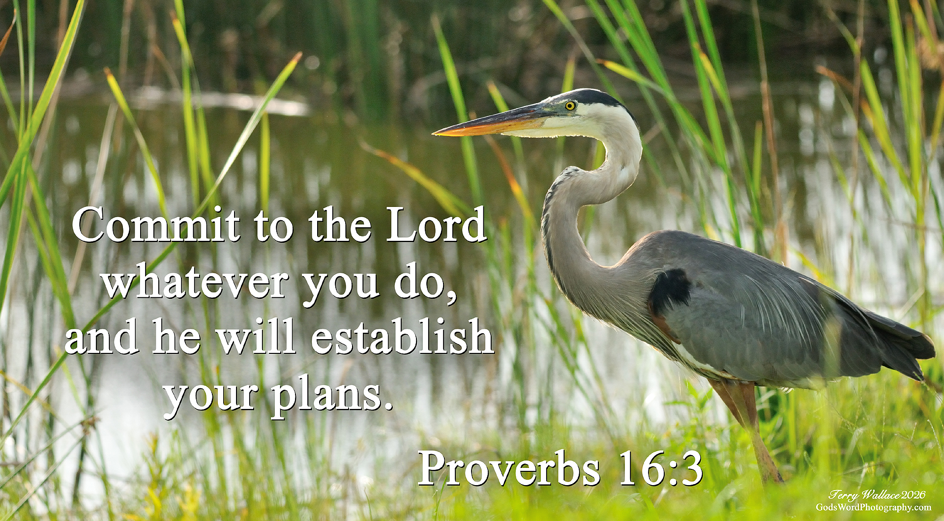 pro 16 3 s4505 small