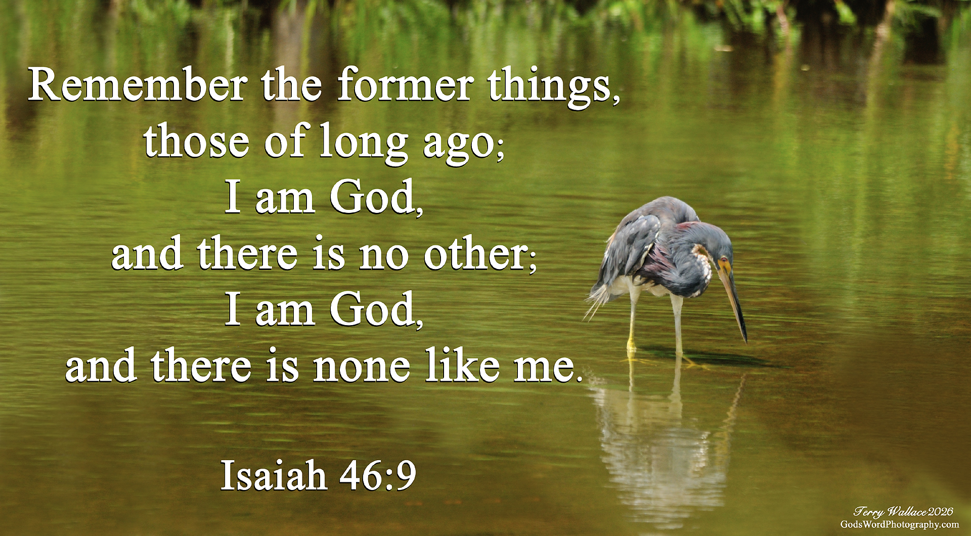 isaiah 46 9 s6257 small